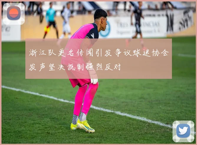 浙江队更名传闻引发争议球迷协会发声坚决抵制强烈反对